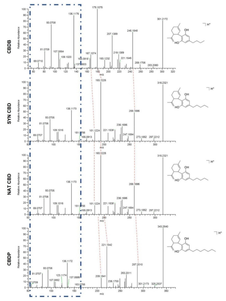 HPLC-HRMS analysis in positive ionization mode of the four CBD homologs under investigation. Blue dotted lines highlight the common pattern, while red dotted lines show the difference in the fragments due to the number of methylene units on the alkyl side chain.