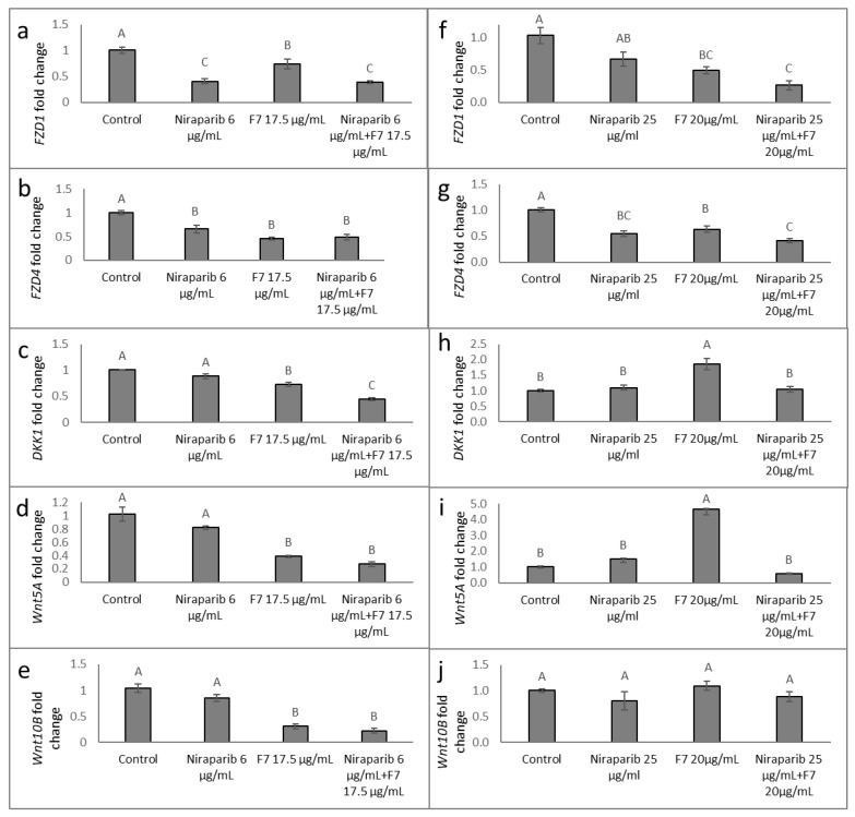 Quantitative PCR-based determination of the RNA steady state level in HTB75 (a–e) and HTB161 (f–j) cell lines of members of the FZD, DKK or Wnt gene families at 6 h of treatment with niraparib, F7, or a combination of niraparib+F7 relative to control. Gene transcript values were determined by quantitative PCR as a difference between the target gene versus a reference gene (HPRT). Values were calculated relative to the average expression of target genes in treated versus control using the 2−ΔΔCt method. Control was the vehicle control (1.00% v/v methanol + 0.60% v/v DMSO). Error bars indicate ± S.E. (n = 3). Levels with different Upper case letters with the same font and style were significantly different from all combinations of pairs by Tukey-Kramer honest significant difference (HSD; p ≤ 0.05).
