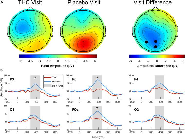 Three-choice vigilance task, Target stimulus at P400 component. (A) Amplitude of P400 peak following Target stimulus elicited an attenuated response during THC visit across parietal and occipital channels. Topographic maps represent average amplitudes between 275 and 475 ms post-stimulus. Difference between visits was significant at P3, Pz, and POz. (B) Average ERP traces for adjacent posterior channels reveal flattened P400 peaks associated with THC visit. Asterisk at P3 indicates significance at α = 0.05. Gray boxes depict P400 time range. THC visit, red line; Placebo visit, blue line.
