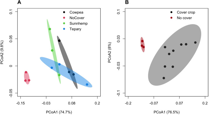 Panel A shows a PCoA plot with points and ellipses for Cowpea, NoCover, Sunnhemp, and Tepary groups, distinguished by color. Panel B presents a PCoA plot comparing Cover crop and No cover groups, represented with black and red points and ellipses. Each panel visualizes group clustering and variation along axes labeled PCoA1 and PCoA2, with explained variance percentages indicated.