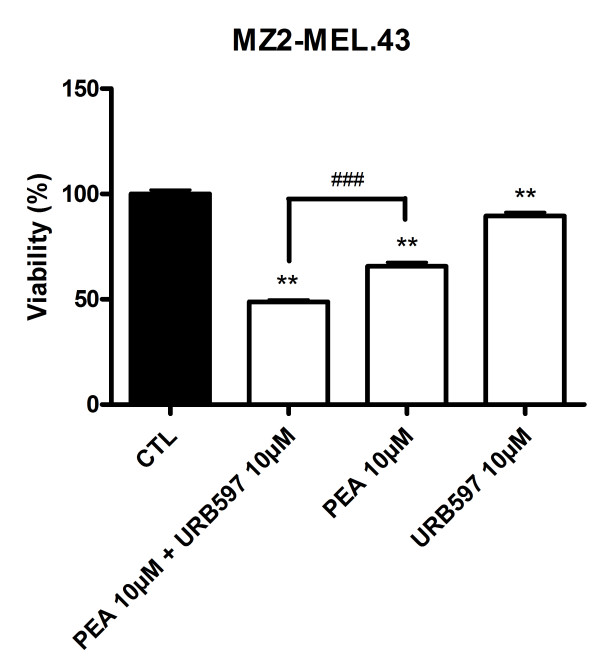 PEA and URB597 impair human melanoma viability. URB597 potentiates the decrease of MZ2-MEL.43 melanoma cell viability produced by PEA. Cells were seeded 5 h before treatment (2000 cells/well in microwells) and incubated with PEA (10 μM) with or without URB597 (10 μM). After 72 h of treatment, cytotoxicity was assessed by a MTT test. Data are expressed as percentage of the vehicle control and are the mean of three experiments performed in triplicate. Significantly different (**P < 0.01) from vehicle incubation. Significantly different (###P < 0.001) from PEA incubation.