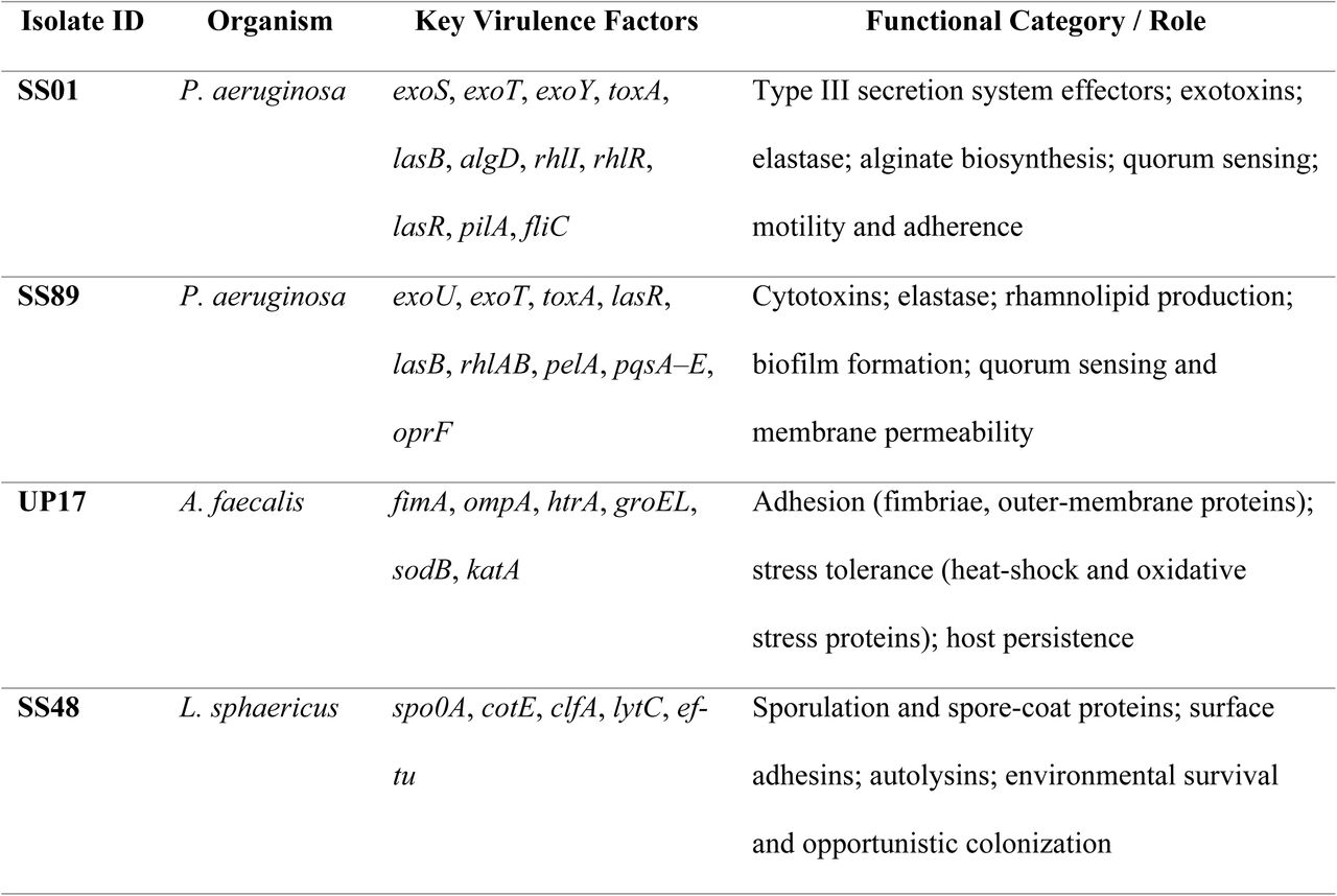 Major virulence factors identified per isolate