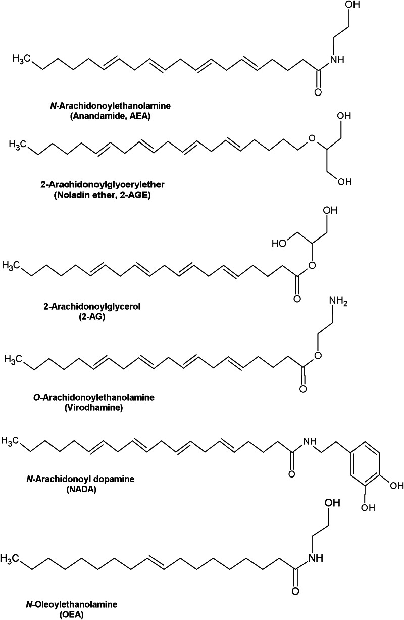 Chemical structures of putative endogenous cannabinoids