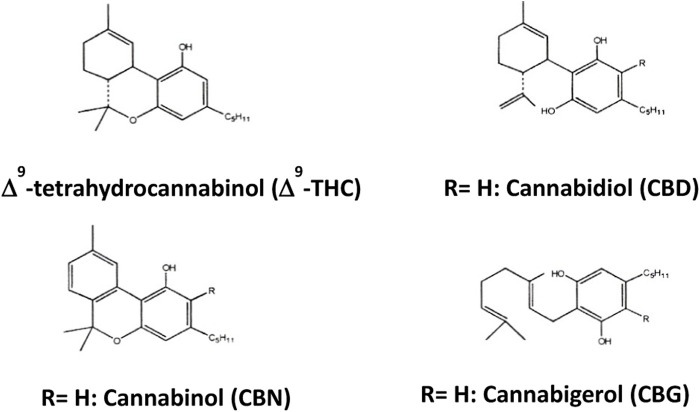 Most abundant phytocannabinoids.