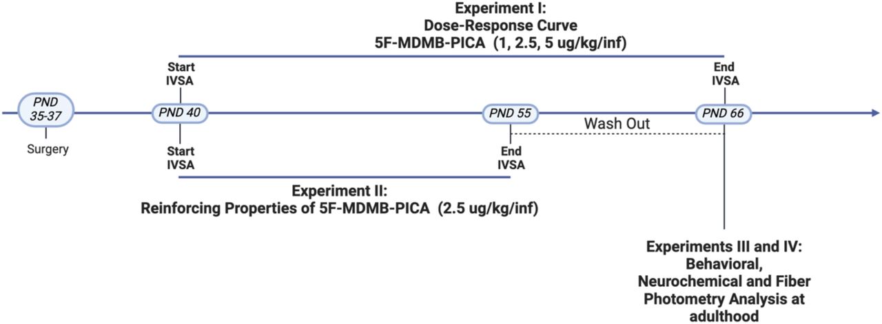 Experimental TimelineThe diagram illustrates the timeline of the experiments conducted on adolescent mice. Post Natal Day (PND), intravenous self-administration (IVSA).