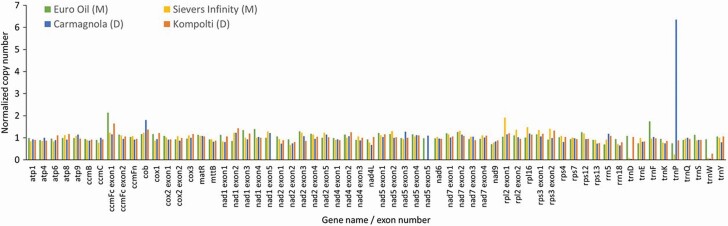 Copy number variation (CNV) for Carmagnola, Sievers Infinity, Kompolti and Euro Oil hemp haplotypes. Values were normalized by dividing by the average CNV of each individual mitochondrial genome.