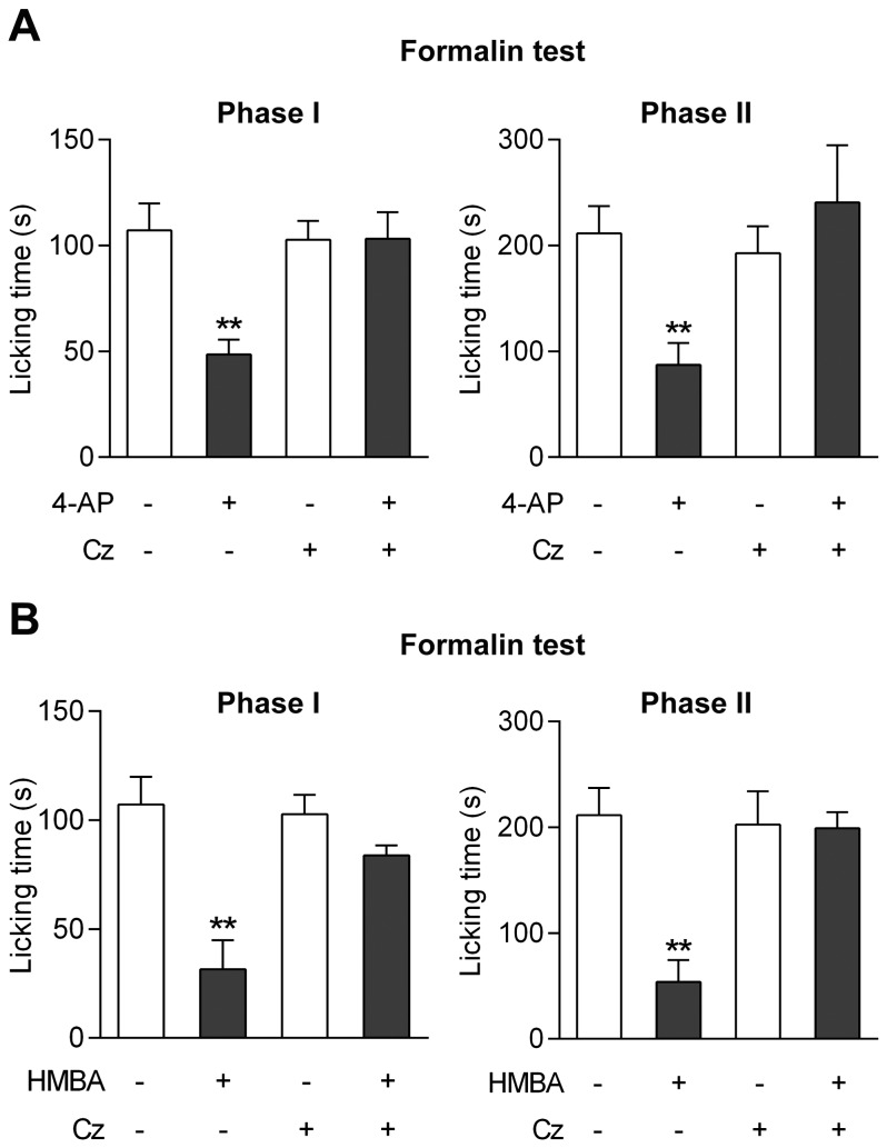 TRPV1 in brain mediates the antinociceptive effects of 4-aminophenol and 4-hydroxy-3-methoxybenzylamine (HMBA).Intracerebroventricular injection of the TRPV1 blocker capsazepine (Cz) prevented the antinociceptive effect of 4-aminophenol (A; n = 5–7) and HMBA (B; n = 6–8) in the mouse formalin test. 4-aminophenol (30 mg/kg) and HMBA (100 mg/kg) were injected by the intraperitoneal route 10 min before the test. Capsazepine (100 nmol) was injected 5 min before the 4-aminophenol and HMBA administration. **p<0.01 when compared to vehicle injection, using Mann-Whitney U test.