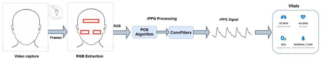 rPPG signal extraction methodology.
