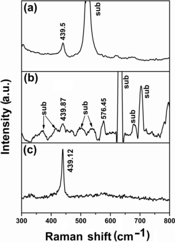 Typical Raman spectra of the ZnO nanorods grown at 95 °C for 3 h on (a) glass, (b) PET and (c) Si substrates.