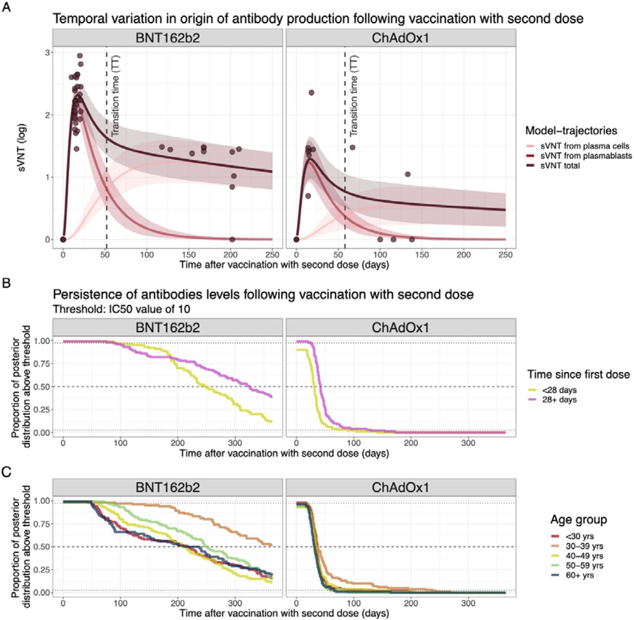 A) Source of sVNT antibodies by days post-vaccination for ancestral RBD. Line and ribbons show the mean and 95% posterior predictive interval (PPI) and dots represent the sVNT from data. (B-–C) Complementary CDF of the marginal posterior distributions for the time antibody titres remain above an IC50 threshold of 10 stratified by vaccine type and B) time since the last dose or C) age group.