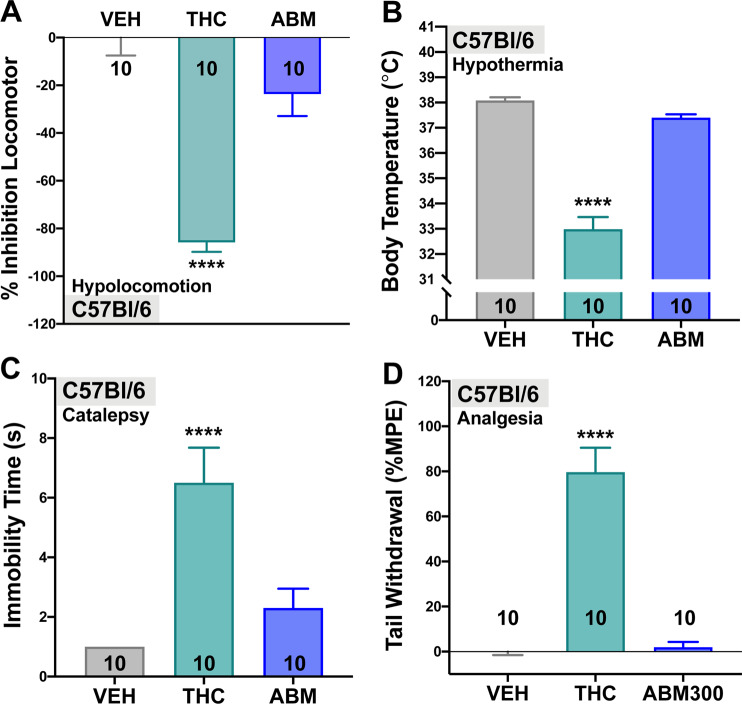 ABM300 (10 mg/kg) has no effect in the cannabinoid-induced tetrad, when compared to THC (10 mg/kg).Cannabinoid-induced tetrad measuring a percent inhibition of locomotor activity (15 min), b rectal temperature (°C), c catalepsy-induced immobility time (s), and d tail withdrawal (% MPE). ABM300 (10 mg/kg) alone has no effect on all outputs, when compared to vehicle and THC. All tests performed in male mice, ABM300 or THC were administered 30 min prior to behavioral testing via i.p. injection. Data shown as mean ± SEM, *p ≤ 0.05 compared to vehicle, ****p < 0.0001, one-way ANOVA, multiple comparisons, post-hoc Sidak’s test. Effect of treatment a F[2,27] = 37.47, p < 0.0001, b F[2,27] = 85.58, p < 0.0001, c F[2,27] = 13.72, p < 0.0001, and d F[2,26] = 46.67, p < 0.0001.