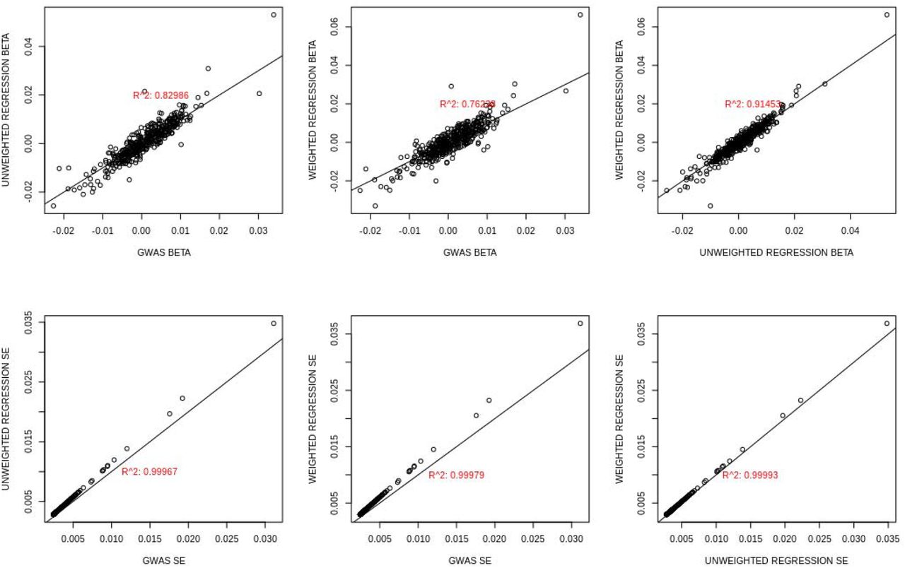 Correlation between GWAS- and weighted linear regression-based models in reweighted FinnGen cohort.