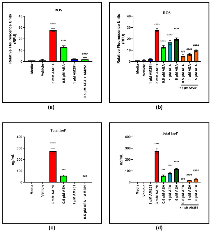 Reactive oxygen species (ROS) and isoprostane (IsoP) production of bovine aortic endothelial cells (BAEC) (N = 6) treated with arachidonoylethanolamide (AEA): (a) Involvement of cannabinoid receptor-1 and -2 (CB1/2) in ROS production of 0.5 µM AEA. CB1 antagonist: 1 µM AM251; (b) Dosage dependent ROS production of BAEC treated with AEA only, and combined with AM251; (c) Involvement of CB1/2 in total IsoP production of 0.5 µM AEA. CB1 antagonist: 1 µM AM251; (d) Dosage dependent total IsoP production of BAEC treated with AEA only and combined with AM251. Statistical analysis: one-way ANOVA, Tukey’s adjustment. * Significantly different to corresponding media control (*** p ≤ 0.001, **** p ≤ 0.0001); # Significantly different to AEA treatment of corresponding concentration (### p ≤ 0.001, #### p ≤ 0.0001).