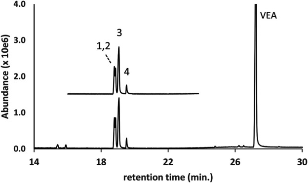 GC-MS chromatogram for a vaping liquid (lower trace) in which multiple DPG dibenzoate isomers (peak labels 1–4) were identified in addition to VEA (VEA peak offscale). The DPG dibenzoate standard chromatogram (upper trace, offset) shows a similar distribution of the four isomers. The vaping liquid contained only a trace of d9THC (peak not visible on current scale).