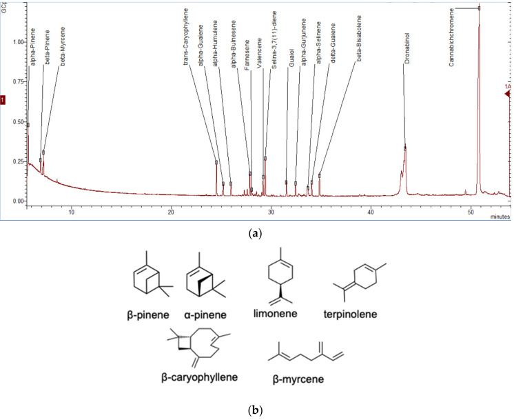 The gas chromatogram equipped with mass spectrometry (GC-MS) of the cannabis terpene extract (butanol) from the floral tissue of Cannabis sativa L. (a) and predominant terpene chemovars (b). Denotes the dried cannabis flower (0.2 g) extracted with propanol by the ultrasonic assisted method [36] and gas chromatography mass spectrometry (GC-MS) analysis was performed using the protocol described previously [57].
