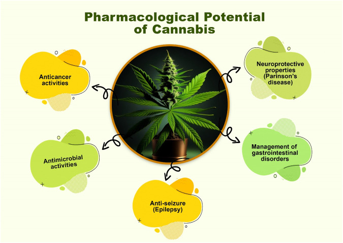 Pharmacological potential of Cannabis.