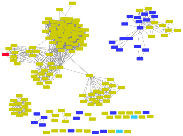SSN showing putative NphB orthologs belonging to IPR036239 with at least 40% sequence identity to each other. Red: NphB (Q4R2T2) sequence; yellow for bacterial species, dark purple for other Eukaryota species, light blue for uncharacterized sequences.