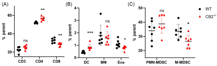 CB2 receptor alters balance between pro-tumor and anti-tumor cells in the spleen in mice receiving DMBA/TPA. (A) Relative frequency of CD3+, CD3+CD4+, and CD3+CD8+ T cells in the spleen. (B) Relative frequency of CD11bhi Cd11chi (DC), CD11b+F480+ (macrophage, MΦ), and CD11b+SiglecF+ (eosinophil, Eos). (C) Relative frequency of CD11b+Ly6GhiLy6Cint (PMN-MDSC) and CD11b+Ly6G-Ly6Chi (M-MDSC). All values expressed as percent of parent population as determined by flow cytometry. WT, n ≥ 6; CB2-/-, n ≥ 6. Student’s t-test, * p < 0.05, ** p < 0.01, *** p < 0.001, ns, not significant.