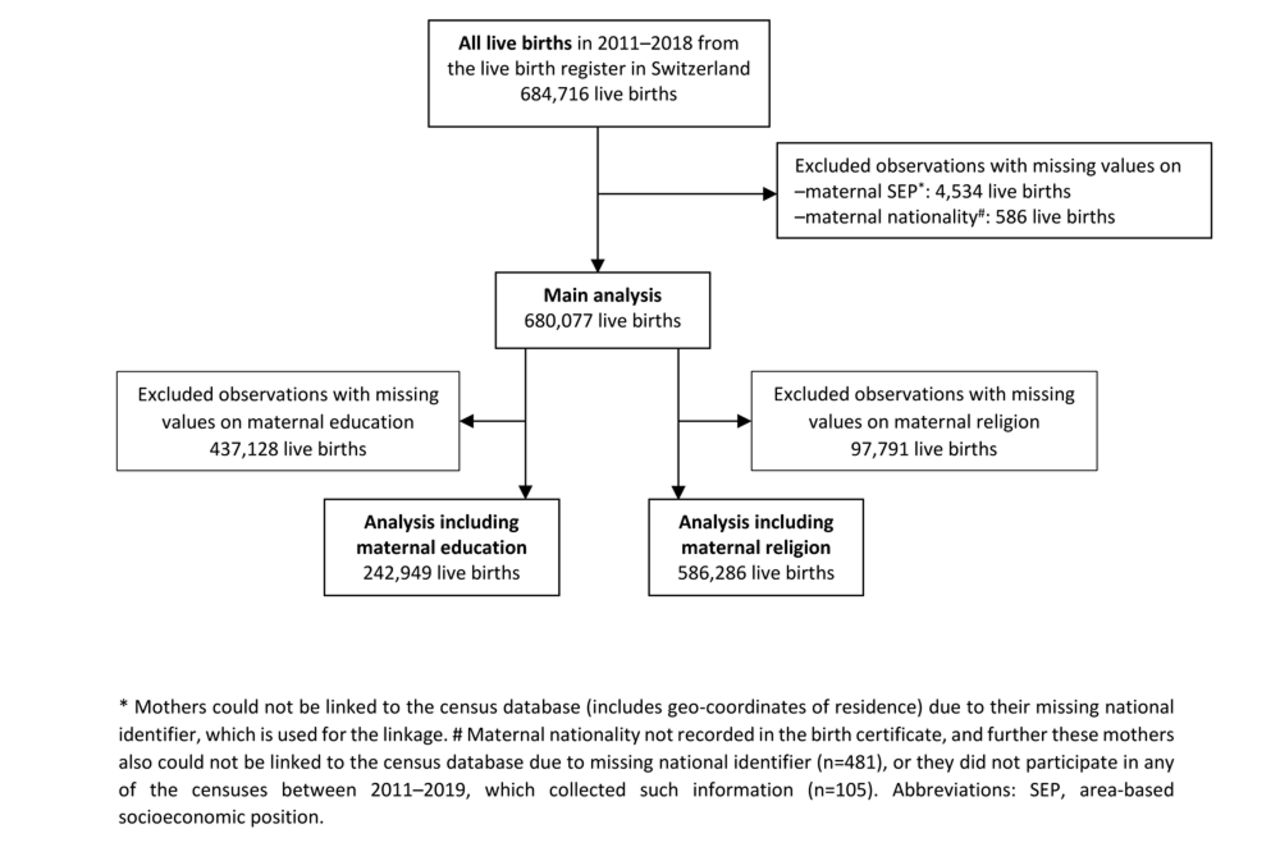 Population flow chart.