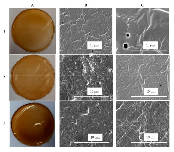 Images of hemp protein films (A), and of their SEM cross-sections (B, magnification 8000×) and surfaces (C, magnification 8000×), containing 50% glycerol and prepared in the absence (1) and presence of either 6% egagropili nanocristalline cellulose (2) or lignin fraction (3). Further experimental details are given in the text.