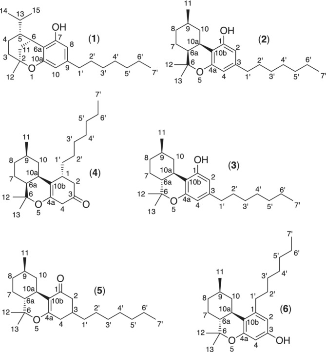 Isolated compounds iso‐HHCP (1), cis‐(9R)‐HHCP (2), (9R)‐HHCP (3), precursor to cis‐abn‐HHCP (4), precursor to (9R)‐HHCP (5), and abn‐HHCP (6).