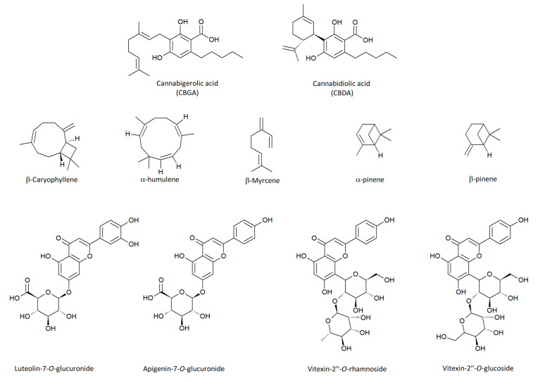 Chemical structures of the main compounds detected in fibre-type hemp cultivars.