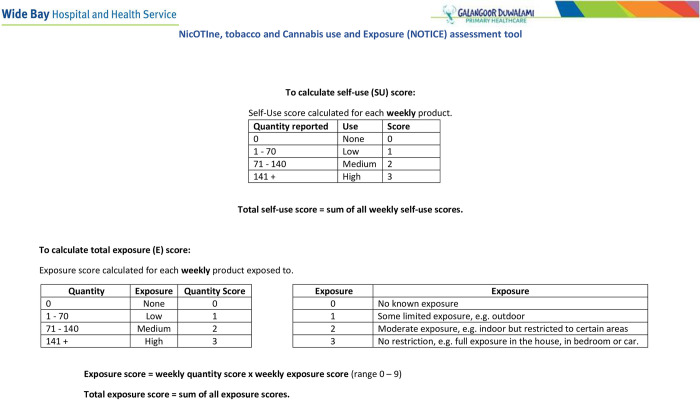 (Page 2). NOTICE: NicOTIne, tobacco, and Cannabis use and Exposure (NOTICE) Assessment Tool.