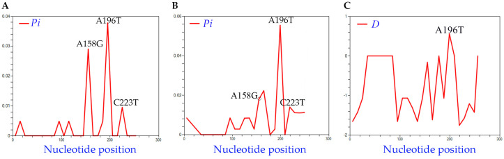 Distribution of nt diversity featuring informative nt positions 158, 196, and 223 in each histogram. The average nucleotide diversity per nt site (Pi) (A) among the 50 new HLVd isolates recovered in this study and (B) among the 77 HLVd genomes used for phylogenetic analysis in Figure 3. (C) Distribution of Tajima’s D values.