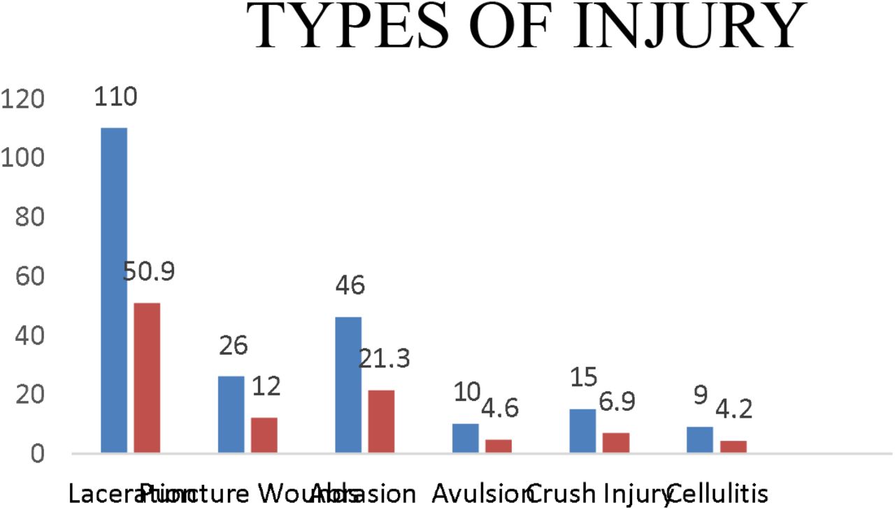 Out of 216 cases, lacerations were the most common type of injury(110 cases, 50.9%). This was followed by abrasions (46 cases, 21.3%) and puncture wounds (26 cases, 12.0%). Less common injuries included crush injuries (15 cases, 6.9%)