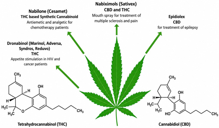Cannabis as a source of approved drugs [117].