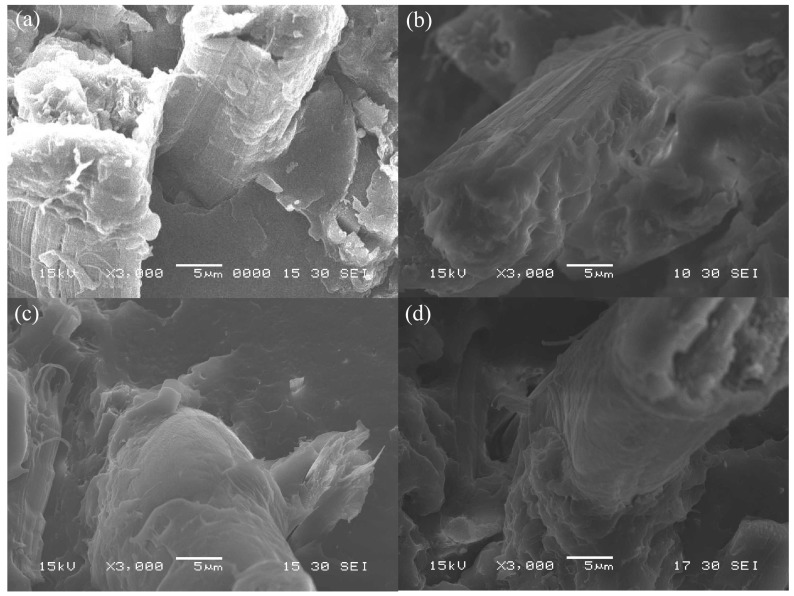 SEM photographs of fracture surface for various surface-treated HF/PA1010 biomass composites: (a) HF; (b) HF-S1; (c) HF-S2 and (d) HF-S3 (×3000).
