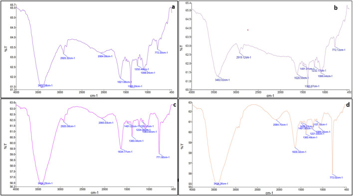 FTIR spectra of (A) Cannabis sativa leaf extract (B) CNB-AuNPs (C) Dox (D) CNB-AuNPs-Dox.