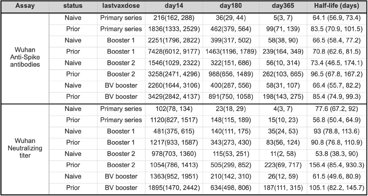 Model-estimated half-lives (days after peak) and titers at days 14, 180, and 365 following vaccine for NHR following 4 doses.Wuhan strain for anti-Spike antibodies and neutralizing titers; 95% confidence intervals presented for all estimated values.