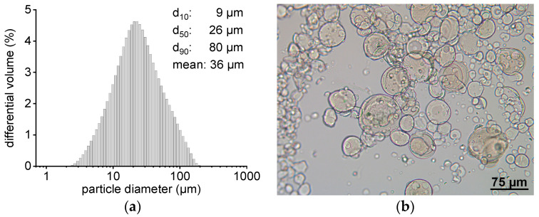 (a) Particle size distribution (determined via LD) of an exemplary microsphere batch that was used for fenofibrate transfer. (b) Light microscopic image of the same microbeads batch.