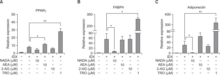Effects of endocannabinoids on adipocyte differentiation marker expression during adipogenesis in hBM-MSCs. When hBM-MSCs were in confluent state, adipogenesis was induced by exchanging media with the IDX adipogenic cocktail. At the 7th days in culture, total RNA samples were extracted and Q-RT-PCR was performed for PPARγ (A), FABP4 (B) and adiponectin (C). GAPDH was used as an internal control for Q-RT-PCR standardization. Values represent the mean expression ± standard deviation (SD) (n=3). *p≤0.05 and **p≤0.01.