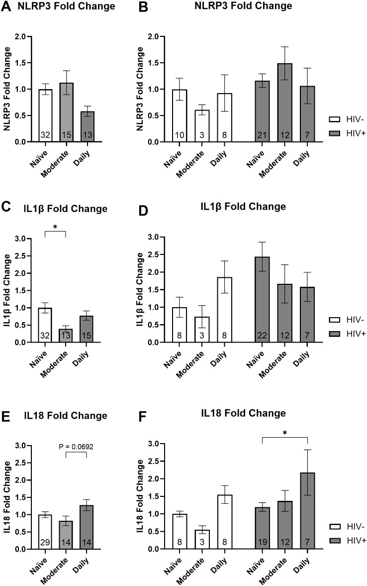 Bar charts labeled A to F show fold changes in NLRP3, IL1β, and IL18 for HIV-negative and HIV-positive subjects under different exercise regimes: naïve, moderate, and daily. Error bars indicate variation. Sample sizes vary across conditions. Statistical significance is marked with asterisks.