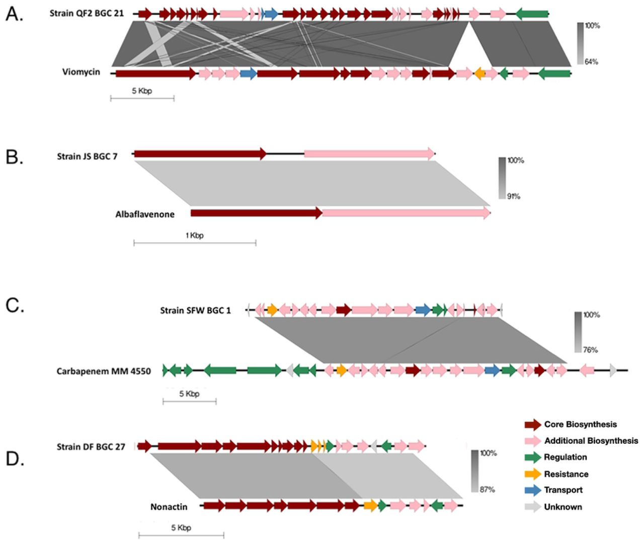Comparison of BGCs encoded in the genomes of bacterial soil isolates and the predicted most similar, previously characterized BGC with an antibacterial product.(a) Strain QF2, BGC 21, compared to the BGC previously described to produce the antibiotic viomycin (NCBI Acc No. AY263398.1), encoded in the WGS of S. vinaceus ATCC 11861. (b) Strain JS, BGC 7, compared to the BGC previously described to produce the antibacterial sesquiterpene Albaflavenone (NCBI Acc No. AL645882.2), encoded in the WGS of S. coelicolor A3(2). (c) Strain SFW, BGC 1, compared to the BGC previously described to produce the antibacterial beta-lactam Carbapenem MM 4550 (NCBI Acc No. KF042303.1), encoded in the WGS of S. argenteolus ATCC 11009. (d) Strain DF, BGC 27, compared to the BGC previously described to produce the ammonium ionophore antibiotic Nonactin (NCBI Acc No. AF074603.2), encoded in the WGS of S. griseus subsp. griseus ETH A7796. Cluster comparisons were constructed in Easyfig. Regions of nucleotide homology are indicated on a gray scale and genes are colored according to the putative function of the corresponding protein product.