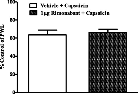 Effects of intraplantar injection of rimonabant (1 μg) on capsaicin-induced thermal hyperalgesia. Rats received intraplantar injections of rimonabant or vehicle 15 min prior to capsaicin. Data are expressed as mean ± SEM of %PWL and analyzed using Student’s t test (n = 7 rats per group)