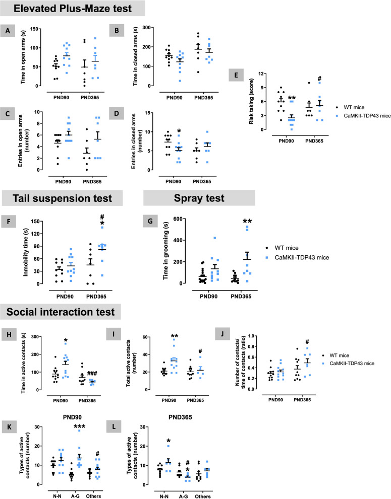 Behavioural data obtained in FTD and wildtype male mice at two different ages (PND90 and PND365) in the Elevated Plus Maze (panels A–E), Tail Suspension (panel F), Spray (panel G), and Social Interaction (panels H–L) tests. Details in the text. Data were expressed as means ± SEM and were analysed by two-way analysis of variance (with repeated measures in some cases) followed by the Bonferroni test (*p < 0.05, **p < 0.01, ***p < 0.005 versus the corresponding wildtype mice; #p < 0.05, ###p < 0.005 versus the same genotype at PND90). N–N nose-nose, A-G anogenital