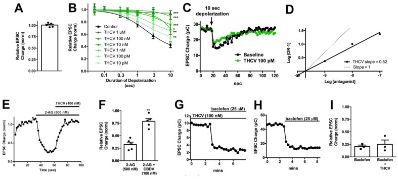 THCV potently inhibits presynaptic CB1 responses in autaptic neurons. (A) THCV (1 μM) has no direct effect on EPSCs. (B) THCV concentration-dependently reduces DSE inhibition of EPSCs, with significant effects even at 100 pM. *, p < 0.05, ***, p < 0.005 one-way ANOVA with Dunnett’s post hoc vs. control. (C) Sample DSE responses before and after treatment with 1 μM THCV. (D) A Schild analysis shows that the Schild slope is less than 1. (E) Sample time course showing reversal of 2-AG inhibition by THCV (100 nM). (F) Summarized data showing that THCV reverses 2-AG action. **, p < 0.01 by paired t-test. (G,H) Sample time courses showing that baclofen (25 μM) responses are similar with and without pre-treatment with THCV (100 nM). (I) Summarized data for baclofen/THCV vs. baclofen alone. p > 0.05 unpaired t-test.