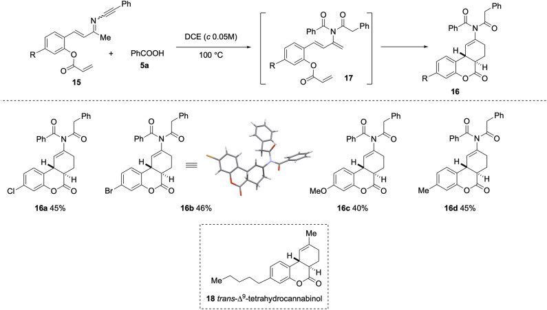 Intramolecular trapping of the in situ generated 2-imido-1,3.dienes: Synthesis of trans-fused tricyclic compounds reminiscent of trans ∆9-tetrahydrocannabinol.Reaction conditions: 15 (0.1 mmol), PhCOOH (1.3 equiv), DCE (2.0 mL), 100 °C. Yields refer to the isolated pure products.