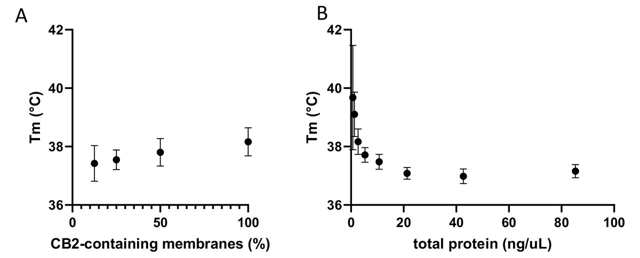 Dependence of Tm values on CB2 and membrane concentration (expressed as total protein).(A) Tm values for CB2-containing HEK293 membranes mixed in different ratios with “empty” non-transfected HEK293 membranes to a total of 26 ng/μL of protein. (B) Tm values for 0.67 ng/μL CB2- containing HEK293 membranes mixed with increasing concentrations of non-transfected HEK293 membranes. Samples were melted for 5 min at a temperature gradient 20-52°C in the presence of 0.1% DDM/0.05% CHAPSO/0.03% CHS. N=3, error bars are SEM.