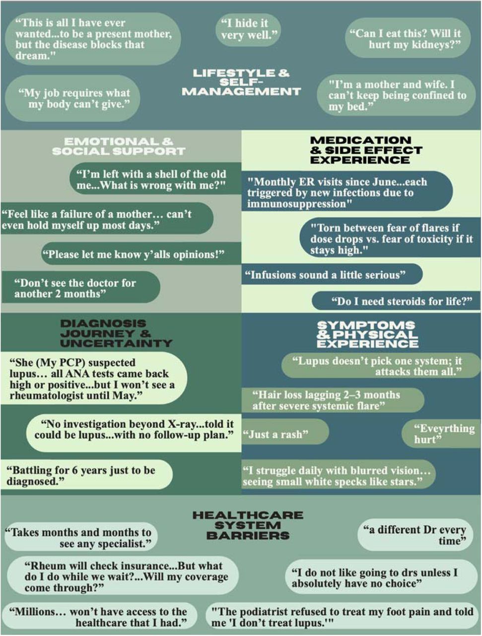 Unmet Medical Needs and Patient Experiences Illustrated by Selected Patient Narratives