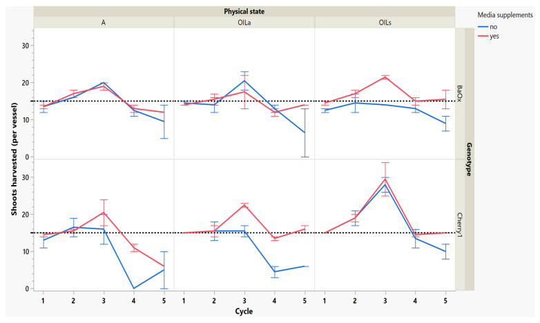 Number of shoots harvested from RV750 vessels per genotype over five repeated cycle harvests based on physical state agar (A), agitated Oasis® infused with liquid (OILA) stationary Oasis® infused with liquid (OILs). Media supplement of 15 mL indicated by red (yes) and blue (no media added). The initial 15 plants per vessel is shown with a dotted reference line.