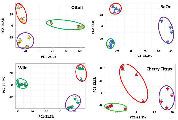 Principal component analysis (PCA) of the relative abundance of the 42 samples across the 3 fungicide treatments and 4 hemp cultivars. Note: Otto II, BaOx, Wife, Cherry Citrus with fungicide treatment are denoted by D, K, G, L (in the green circle), respectively. Otto II, BaOx, Wife, Cherry Citrus with natural infection are represented by F, E, O, J (in the purple circle), and Otto II, BaOx, Wife, Cherry Citrus with fungal inoculation are indicated by A, C, I, H (in the red circle).