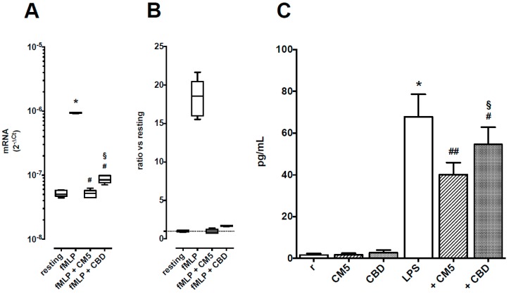 Effects of CM5 50 μg/mL and CBD 10 μM on TNF-α production in PMN. Panel A: TNF-α mRNA levels, shown as medians with 25th–75th percentiles (boxes) and min–max values (whiskers) of 5 separate observations. * p < 0.001 vs. resting, # p < 0.001 vs. fMLP alone and § p < 0.05 vs. CM5. Panel B: TNF-α mRNA levels, shown as ratio vs. resting cells. Panel C: TNF-α protein levels in supernatants from cultured PMN. Each column is the mean ± SEM of 10 separate observations. * p < 0.001 vs. resting, # p < 0.05 and ## p < 0.01 vs. LPS alone and § p < 0.05 vs. CM5.