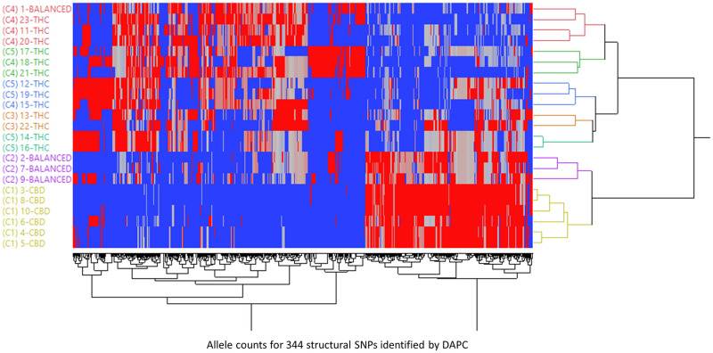 Hierarchical clustering of 23 strains based on the allele counts for 344 structural SNPs identified by DAPC.