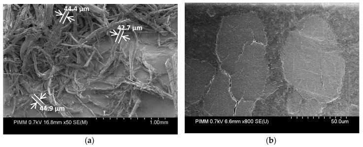 Scanning electron microscope images of hemp fibers (a) before mixing with the polymer matrix and (b) in an injected biocomposite sample.