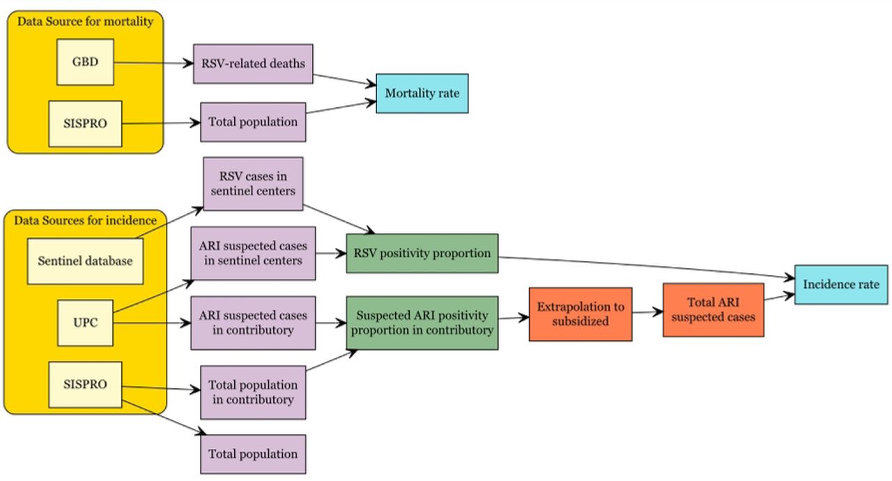 Estimation methods.Approach for the estimation of incidence and mortality associated with RSV infections in Colombia (2019).