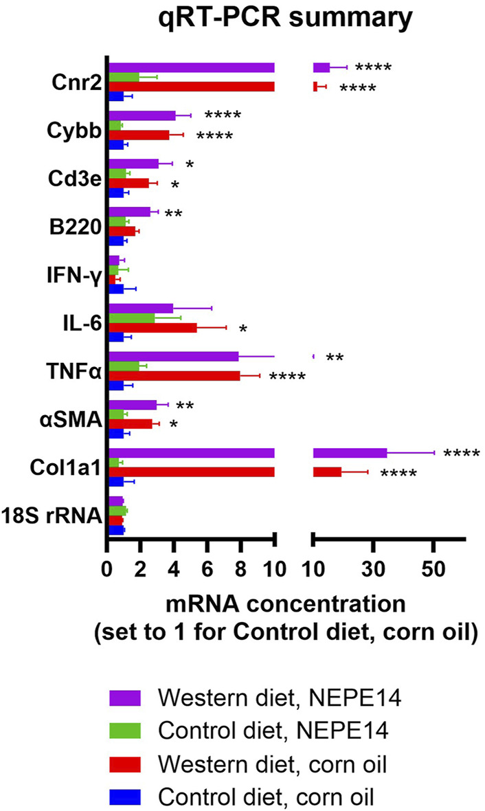 Hepatic mRNA expression. qRT-PCR was conducted for 18S rRNA as a house keeping gene, genes involved in fibrosis (Co1a1 and αSMA), genes involved in inflammation (TNFα, IL-6, IFN-γ, B220, CD3e and Cybb), and the gene encoding cannabinoid receptor 2 (Cnr2). N = 10 mice per experimental group. *, **, ****: P < 0.05, 0.01, 0.0001 for post-hoc comparisons after two-way ANOVA with Tukey’s adjustment.